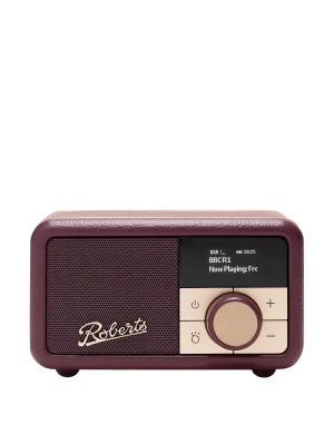Bluetooth portable digital radio