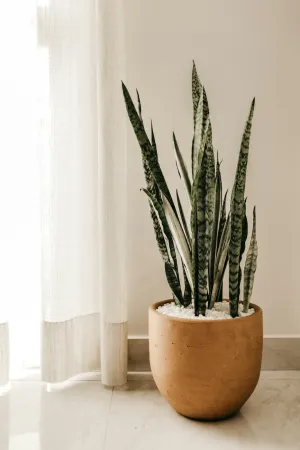 Lightweight Wool Lamp