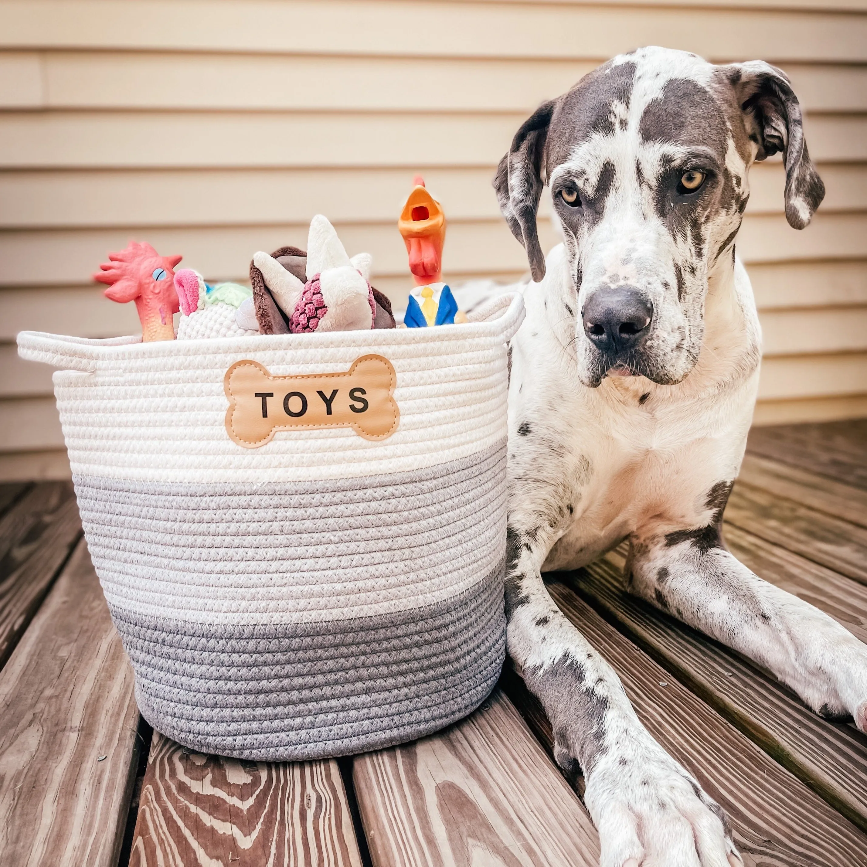 LIVRA PET TOY BASKET