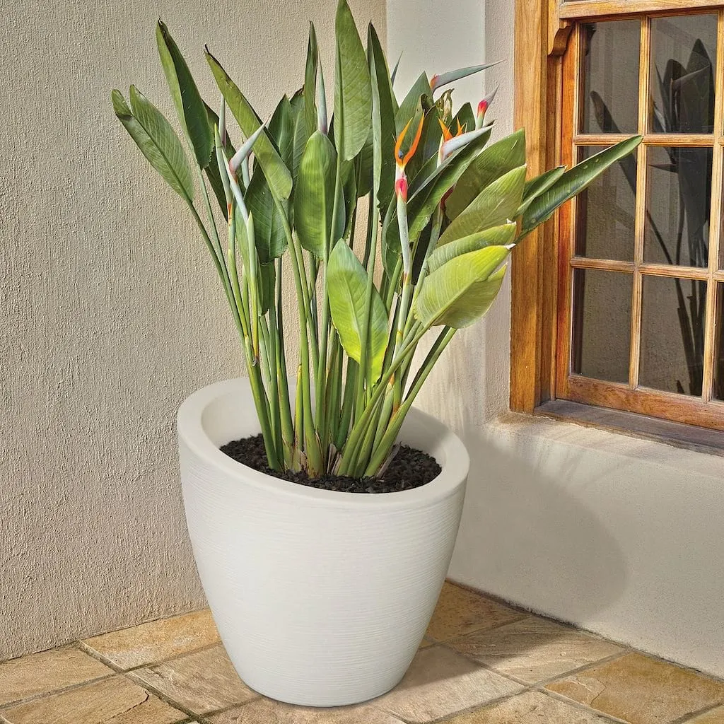 Mayne Modesto Round Planter