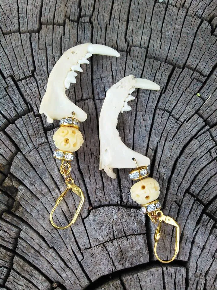 Real Jaw Bone Earrings Carved Bone Beads Mink Skull Mandible Teeth Dangle Drop Gold Earrings Earthy Nature Inspired Wiccan Jewelry